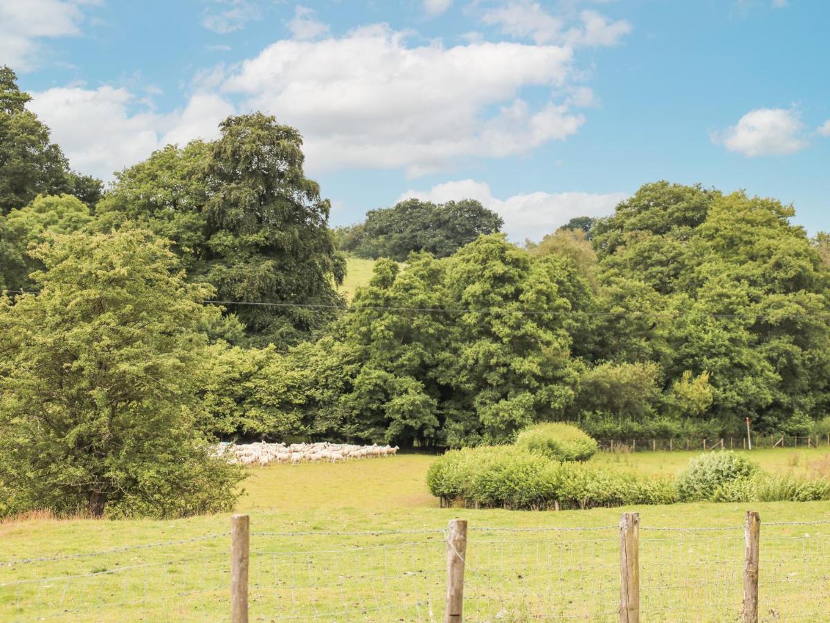 Newbridge on Wye Holly Farm Cottage מראה חיצוני תמונה